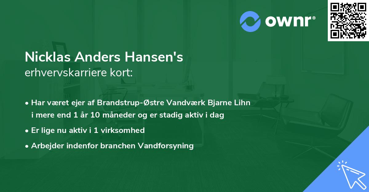 Nicklas Anders Hansen's erhvervskarriere kort