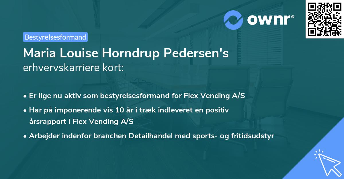 Maria Louise Horndrup Pedersen's erhvervskarriere kort