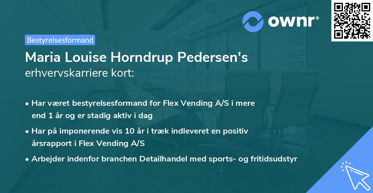 Maria Louise Horndrup Pedersen's erhvervskarriere kort