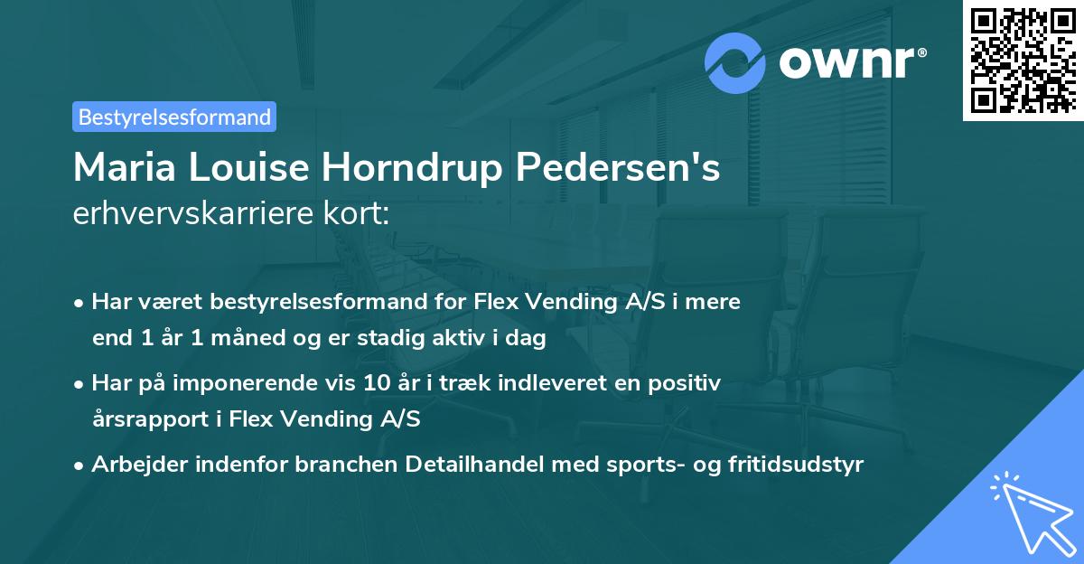 Maria Louise Horndrup Pedersen's erhvervskarriere kort