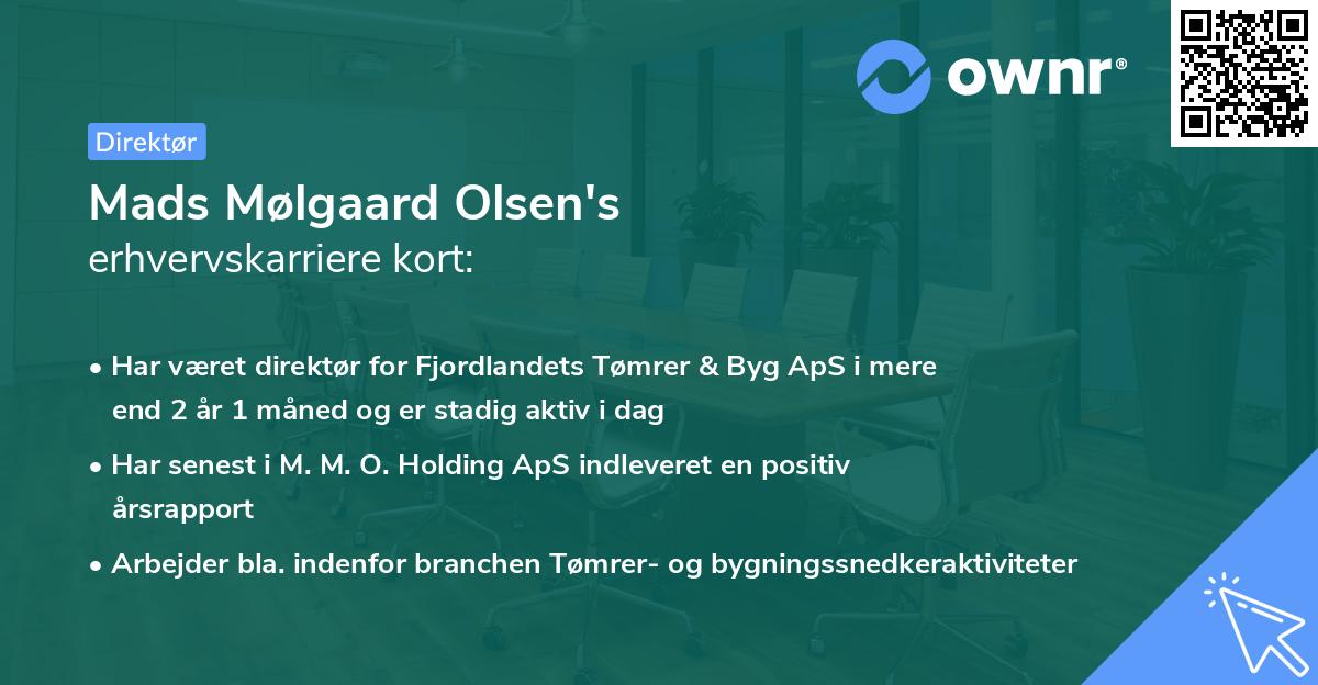 Mads Mølgaard Olsen's erhvervskarriere kort