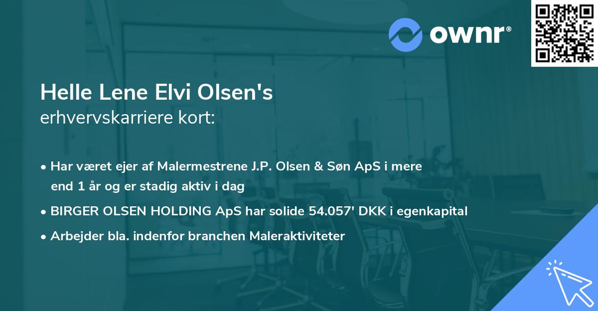 Helle Lene Elvi Olsen's erhvervskarriere kort