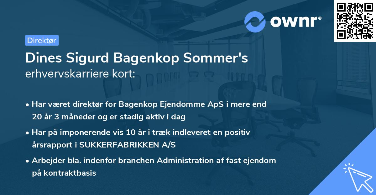 Dines Sigurd Bagenkop Sommer's erhvervskarriere kort