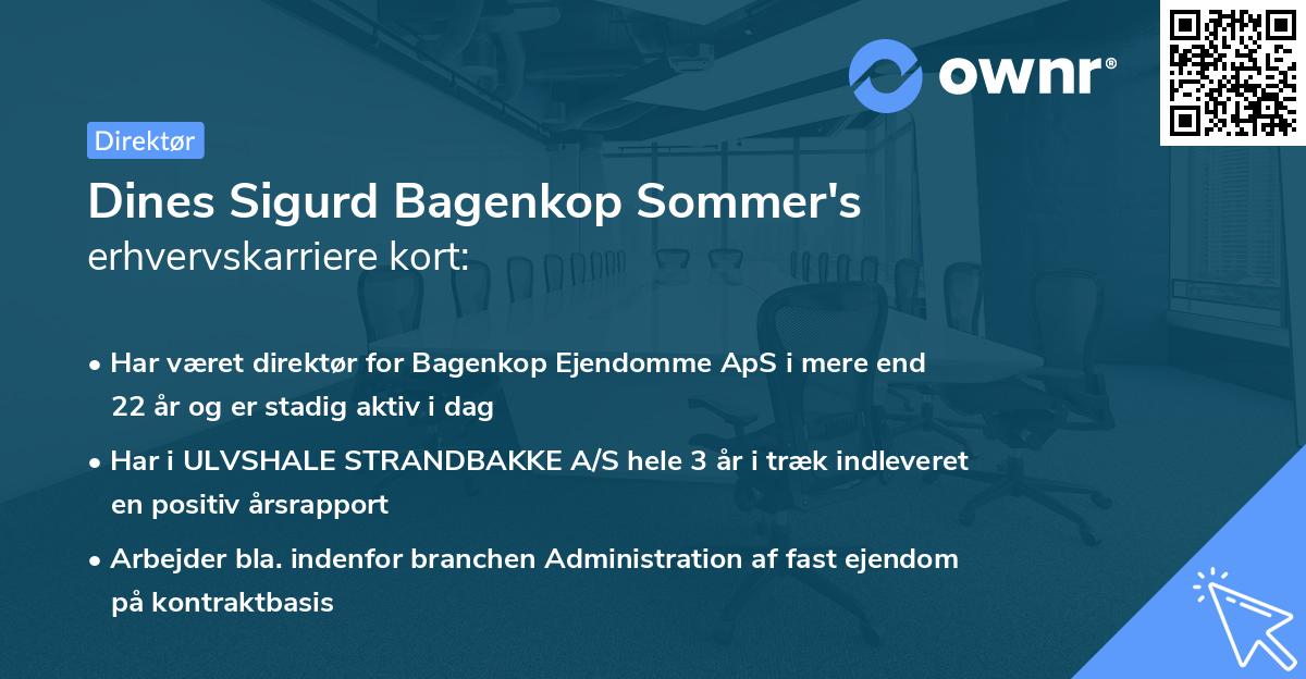 Dines Sigurd Bagenkop Sommer's erhvervskarriere kort