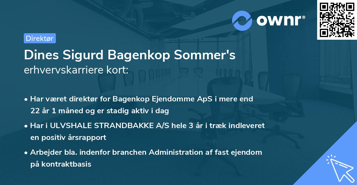 Dines Sigurd Bagenkop Sommer's erhvervskarriere kort