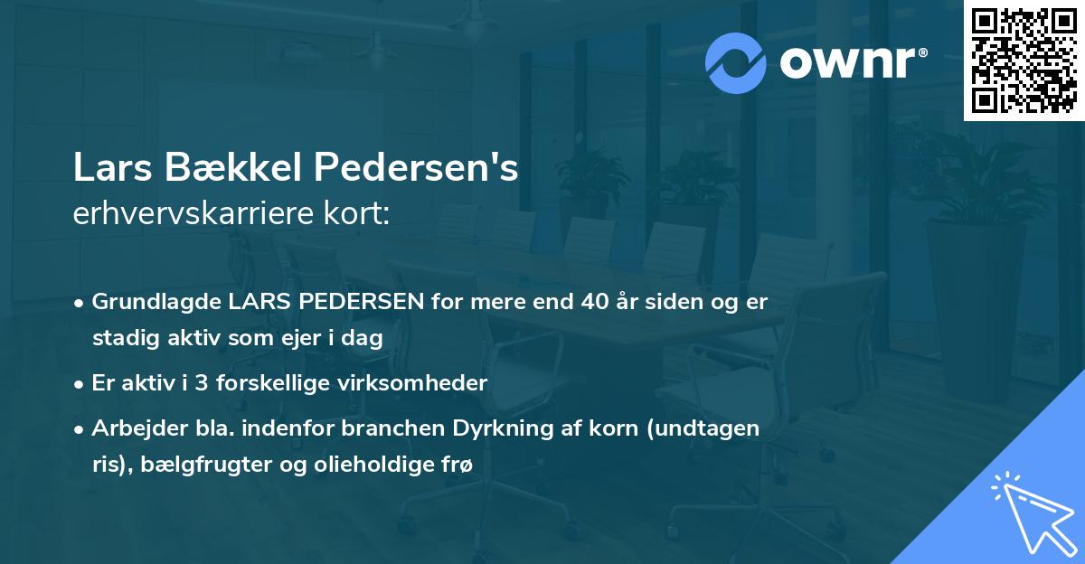 Lars Bækkel Pedersen's erhvervskarriere kort