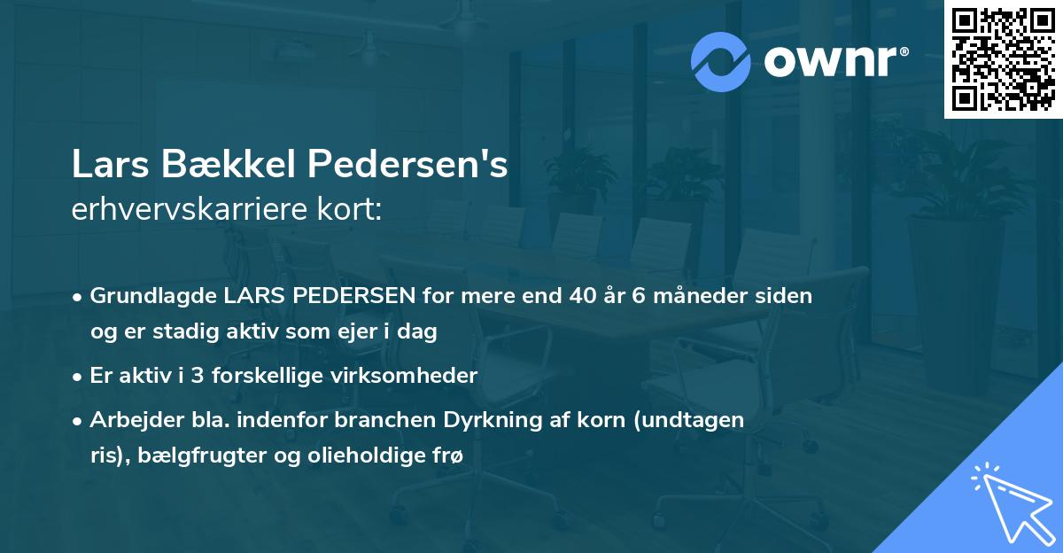 Lars Bækkel Pedersen's erhvervskarriere kort