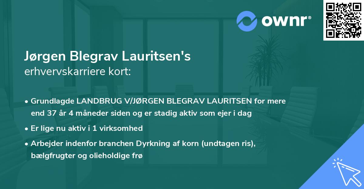 Jørgen Blegrav Lauritsen's erhvervskarriere kort