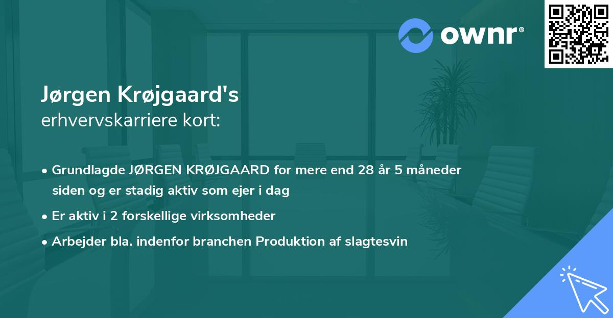 Jørgen Krøjgaard's erhvervskarriere kort