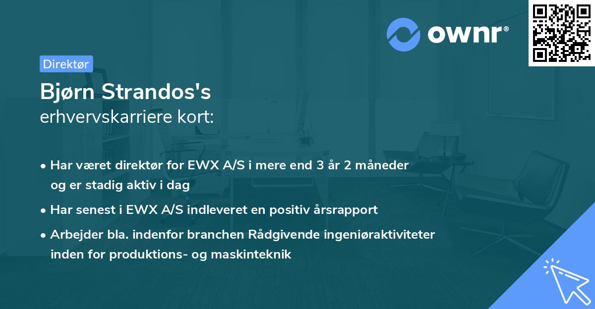 Bjørn Strandos's erhvervskarriere kort