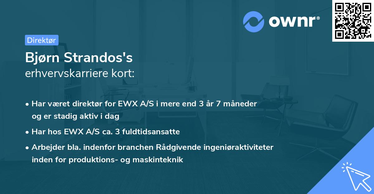 Bjørn Strandos's erhvervskarriere kort