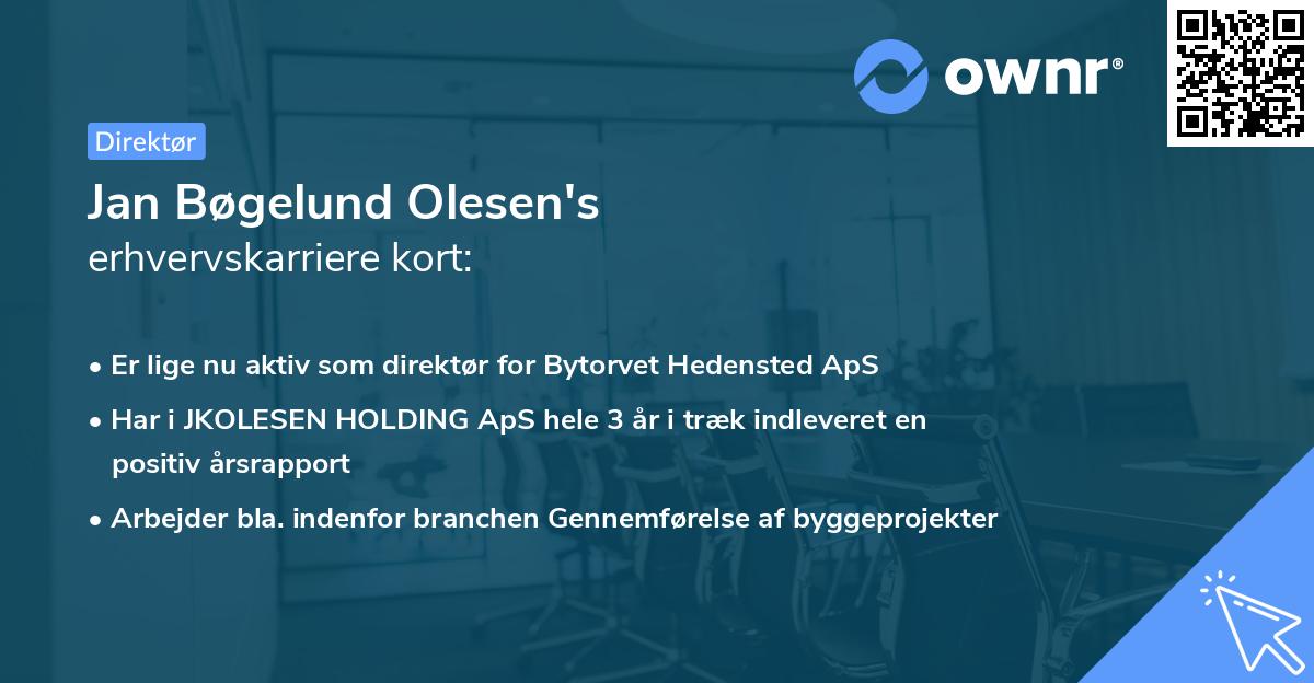 Jan Bøgelund Olesen's erhvervskarriere kort