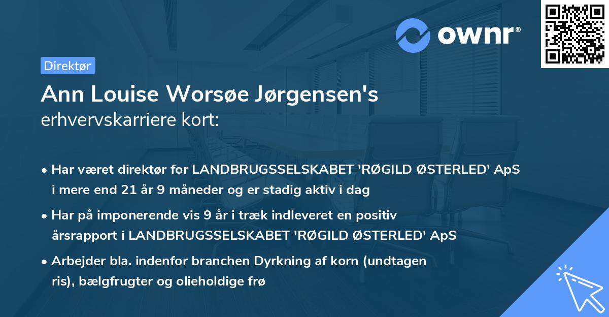 Ann Louise Worsøe Jørgensen's erhvervskarriere kort