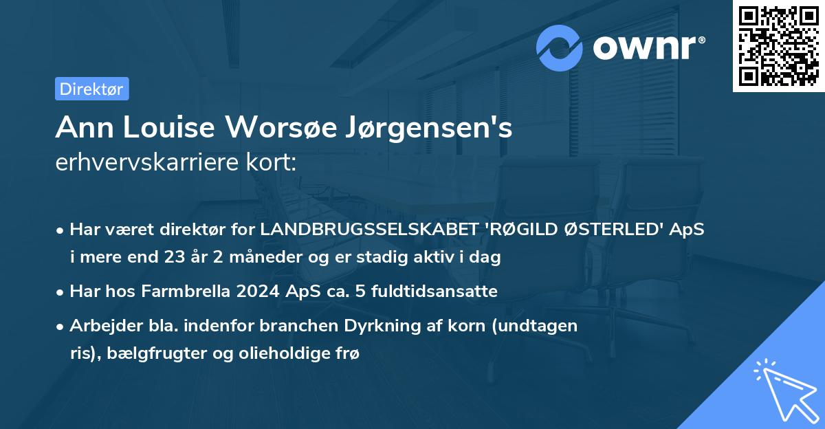 Ann Louise Worsøe Jørgensen's erhvervskarriere kort