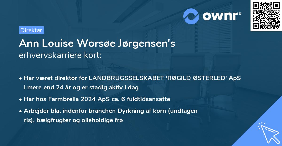 Ann Louise Worsøe Jørgensen's erhvervskarriere kort