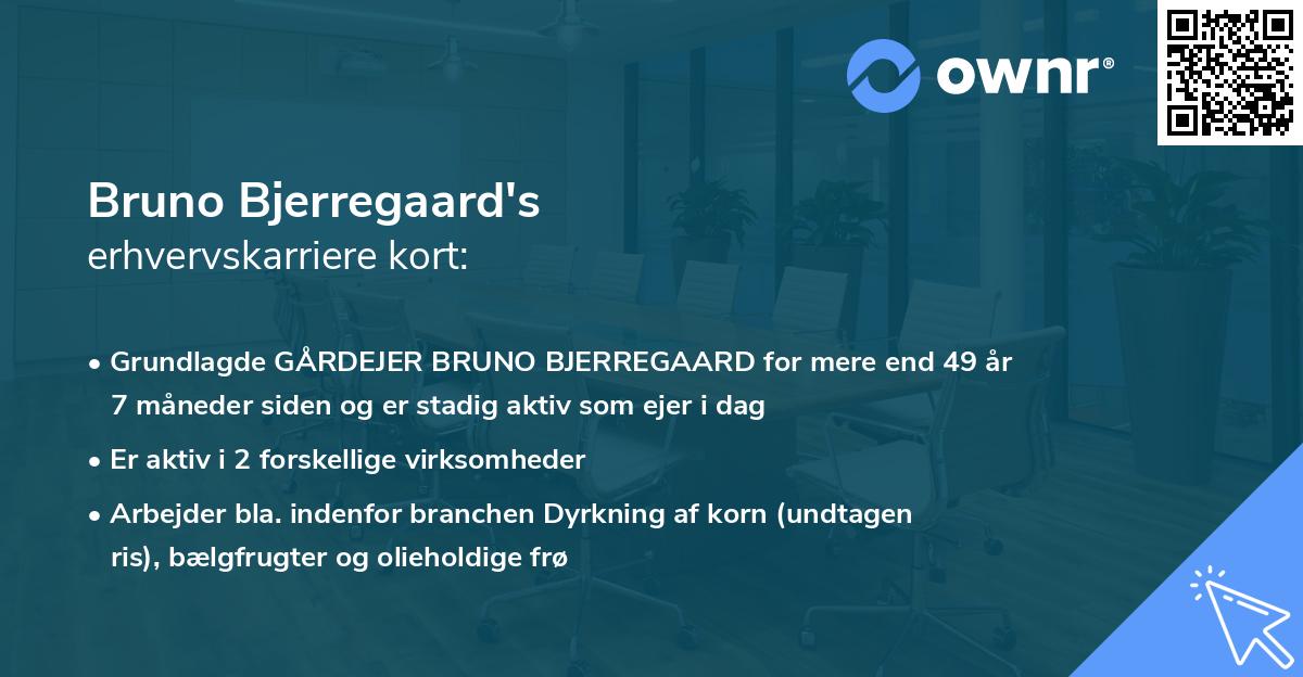 Bruno Bjerregaard's erhvervskarriere kort