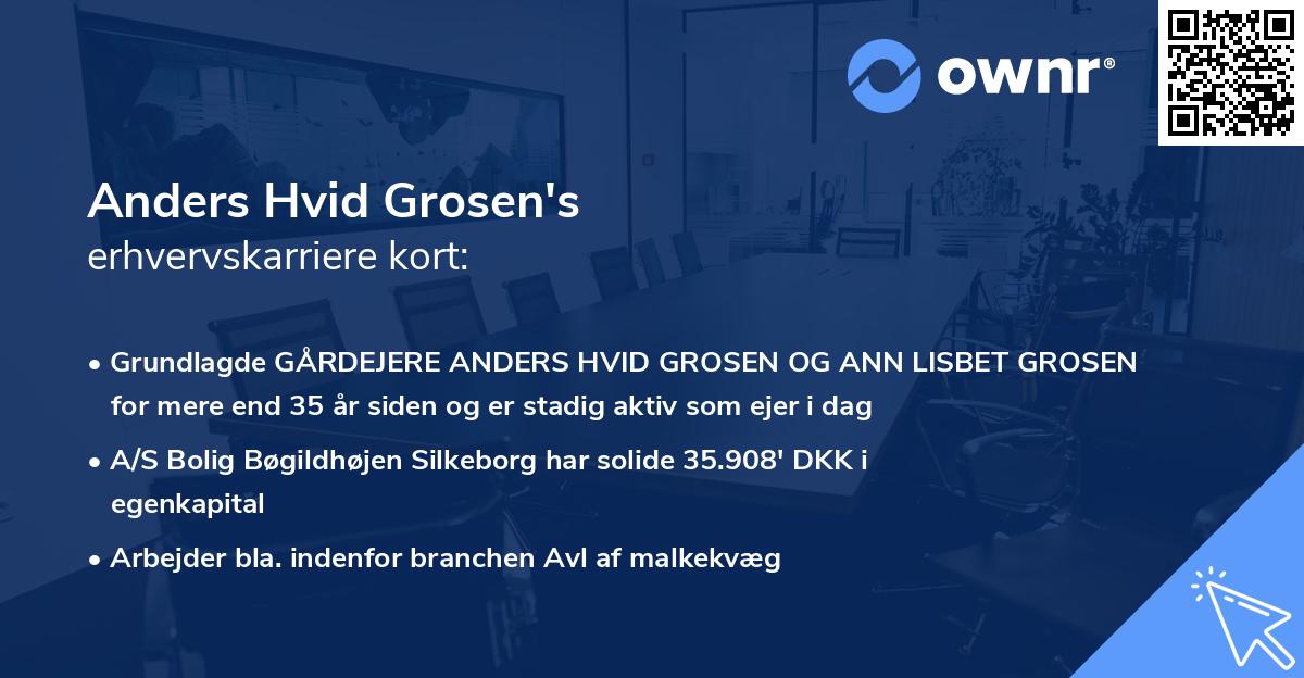 Anders Hvid Grosen's erhvervskarriere kort