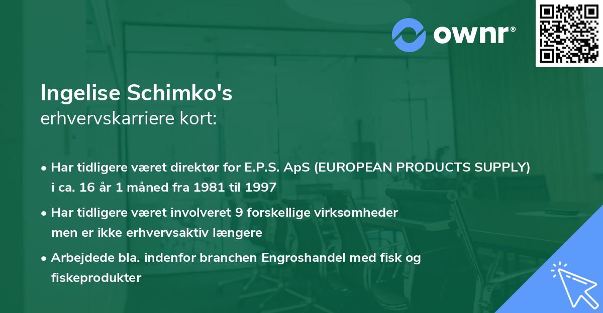Ingelise Schimko's erhvervskarriere kort
