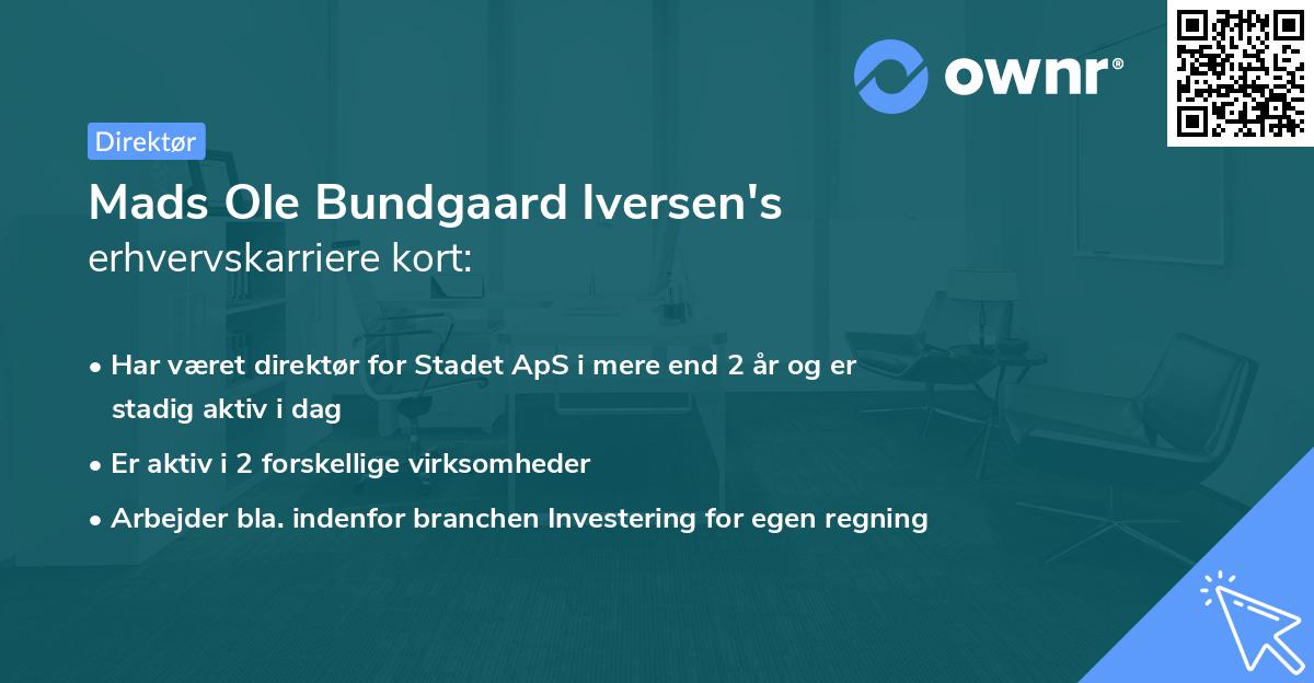 Mads Ole Bundgaard Iversen's erhvervskarriere kort