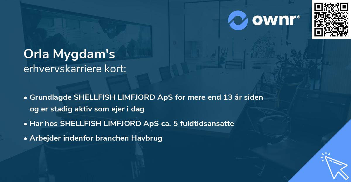 Orla Mygdam's erhvervskarriere kort