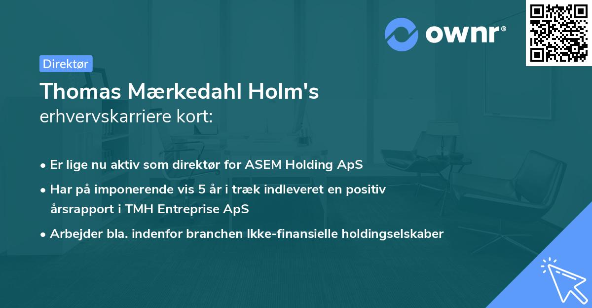 Thomas Mærkedahl Holm's erhvervskarriere kort