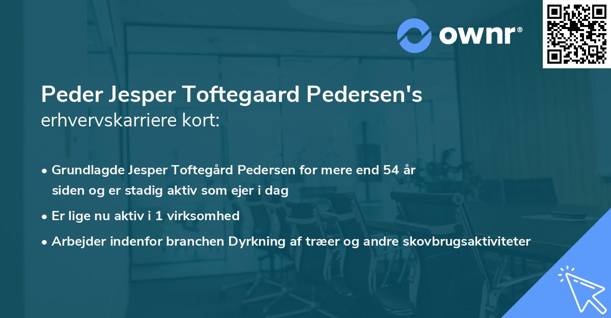 Peder Jesper Toftegaard Pedersen's erhvervskarriere kort