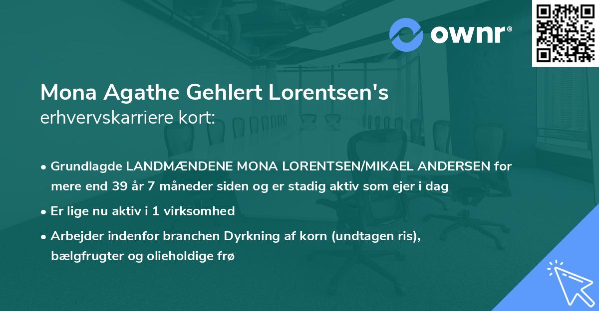 Mona Agathe Gehlert Lorentsen's erhvervskarriere kort