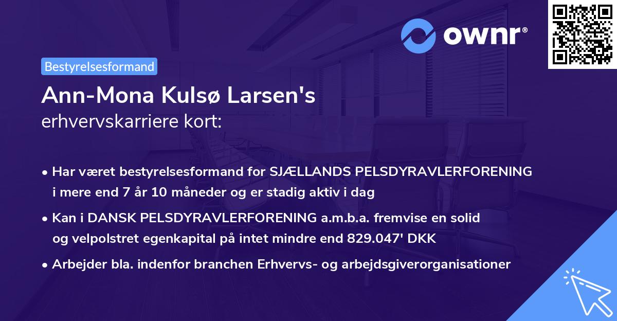 Ann-Mona Kulsø Larsen's erhvervskarriere kort