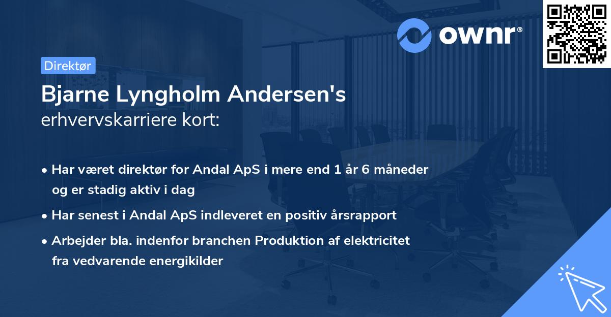 Bjarne Lyngholm Andersen's erhvervskarriere kort