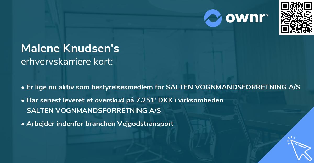 Malene Knudsen's erhvervskarriere kort