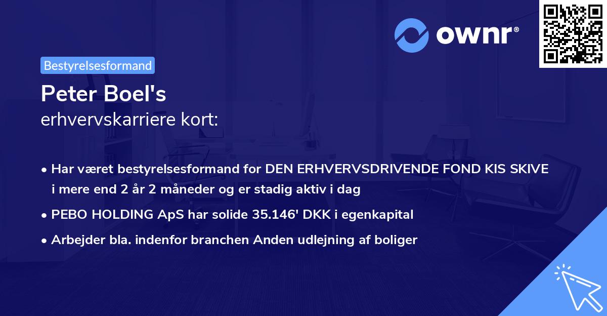 Peter Boel's erhvervskarriere kort