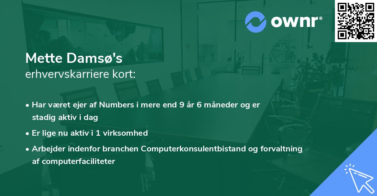 Mette Damsø's erhvervskarriere kort