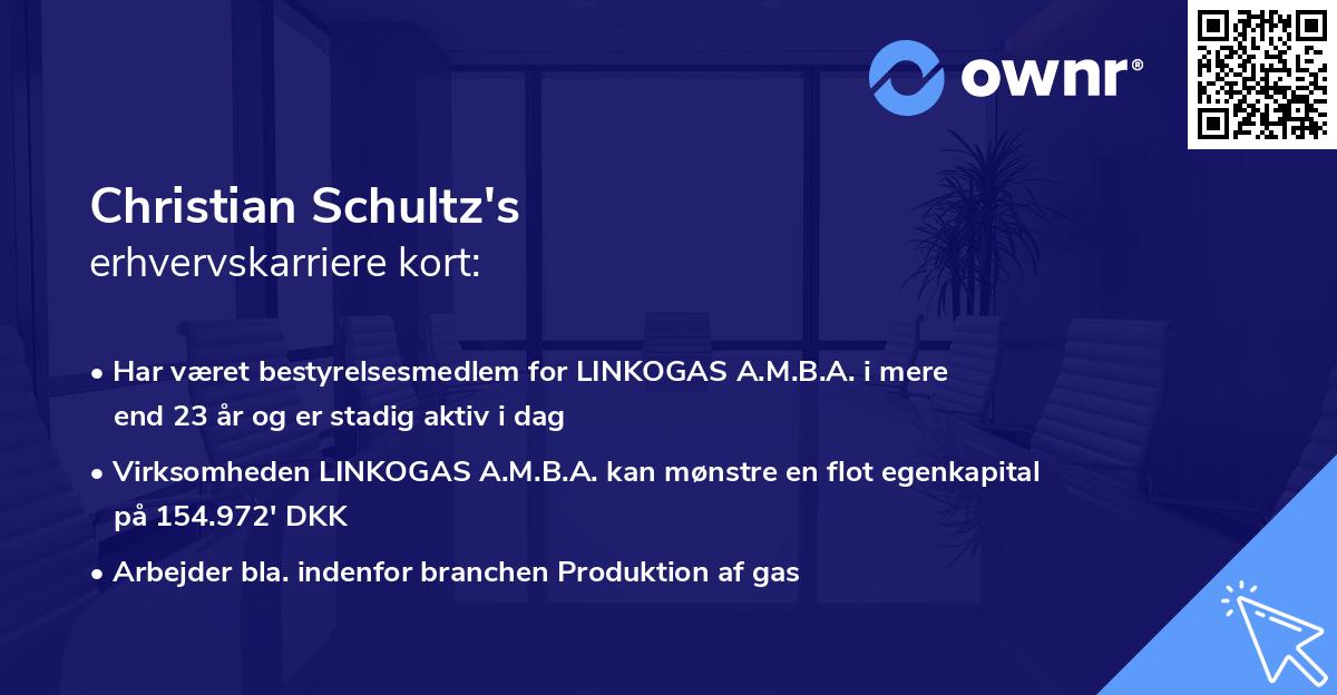 Christian Schultz's erhvervskarriere kort