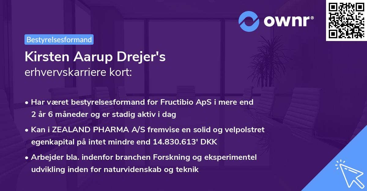 Kirsten Aarup Drejer's erhvervskarriere kort