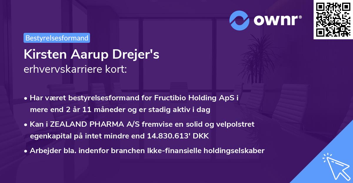 Kirsten Aarup Drejer's erhvervskarriere kort