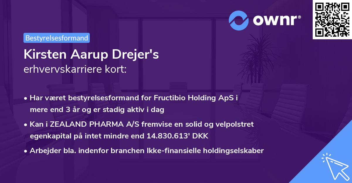 Kirsten Aarup Drejer's erhvervskarriere kort