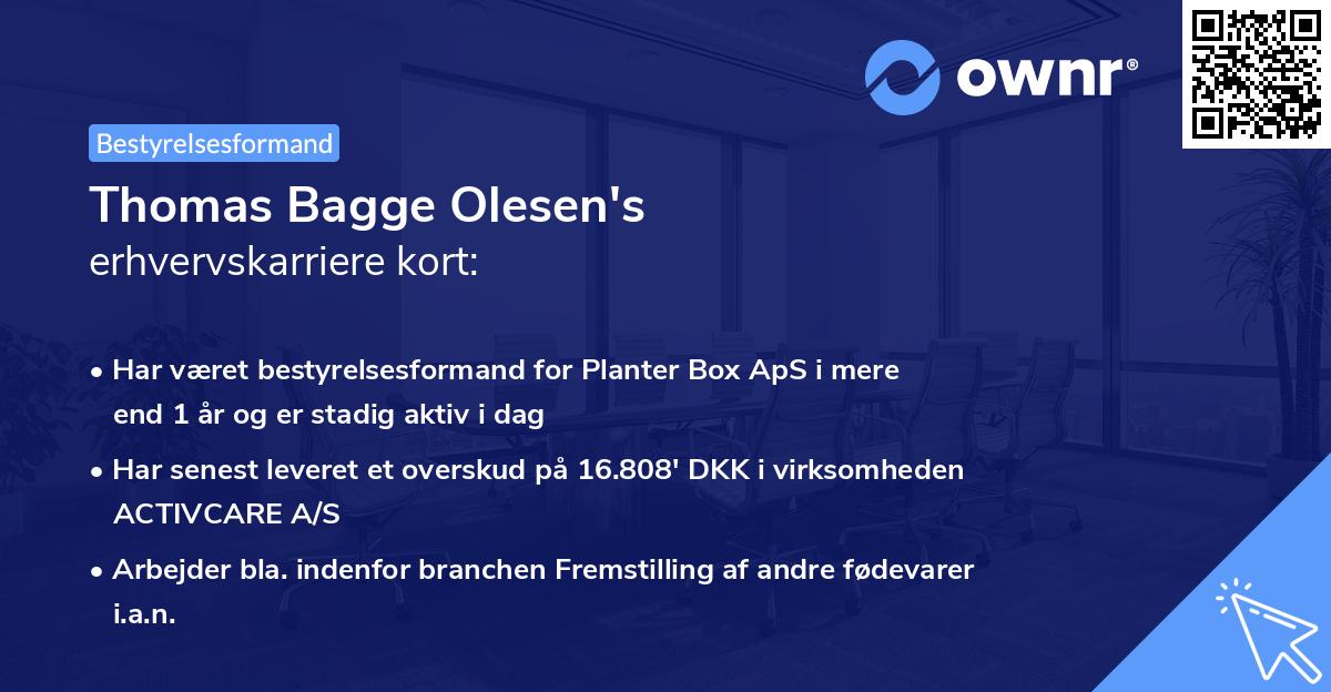 Thomas Bagge Olesen's erhvervskarriere kort