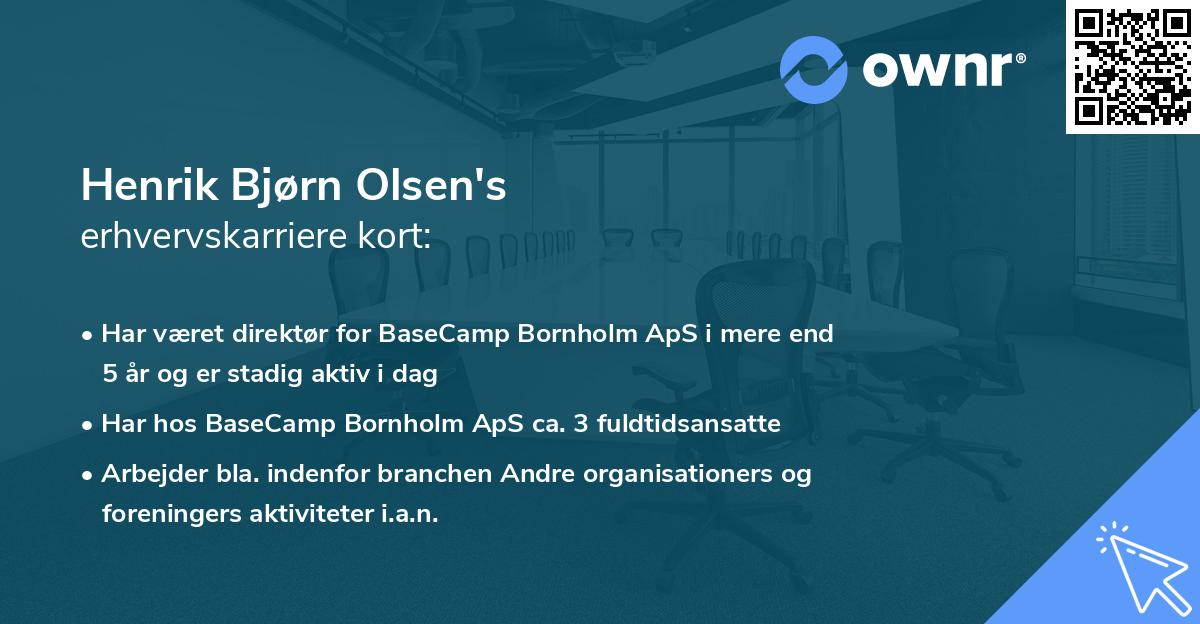 Henrik Bjørn Olsen's erhvervskarriere kort