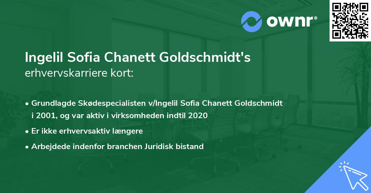 Ingelil Sofia Chanett Goldschmidt's erhvervskarriere kort