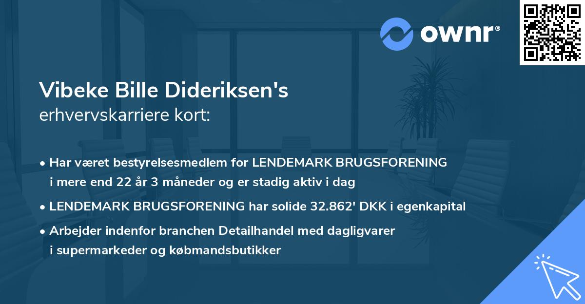 Vibeke Bille Dideriksen's erhvervskarriere kort