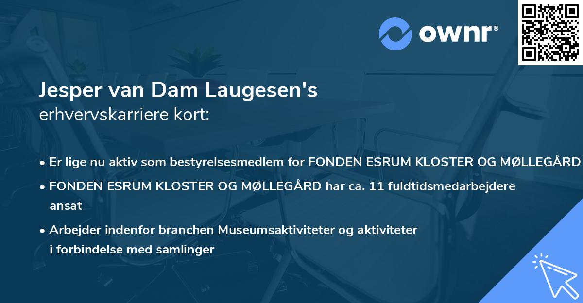 Jesper van Dam Laugesen's erhvervskarriere kort