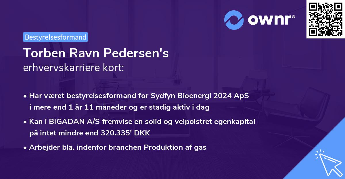 Torben Ravn Pedersen's erhvervskarriere kort
