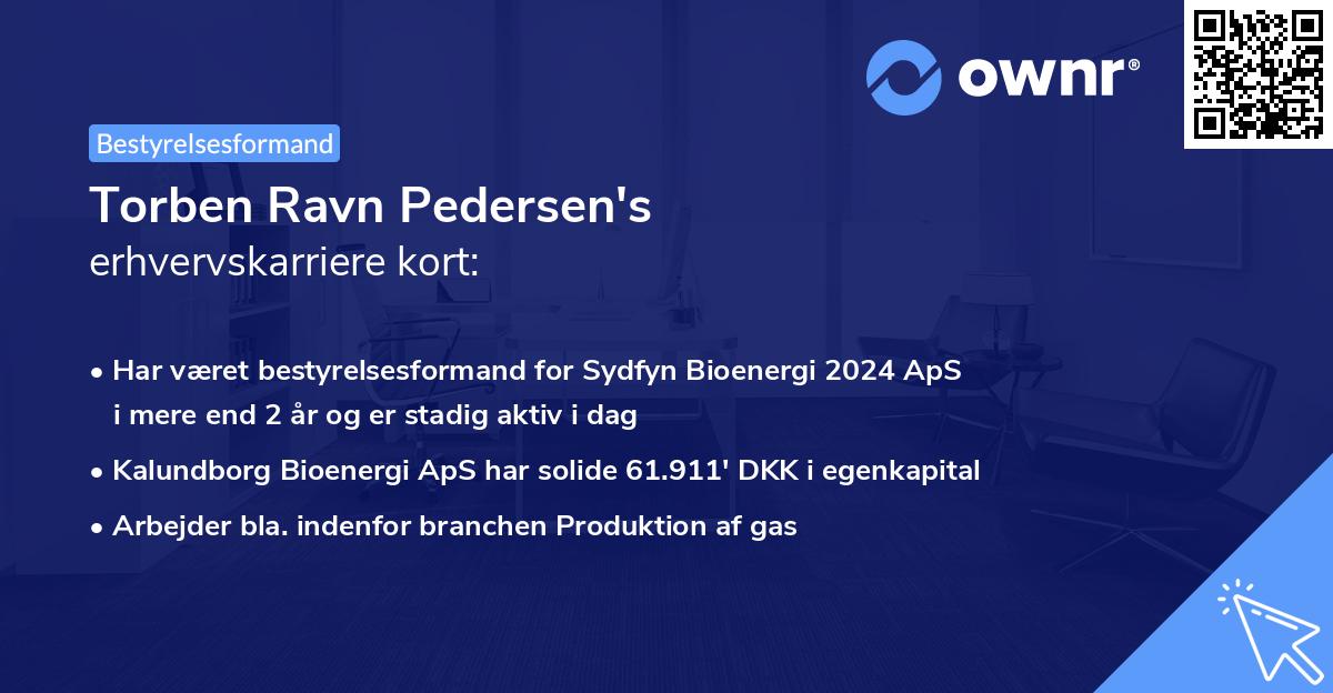 Torben Ravn Pedersen's erhvervskarriere kort