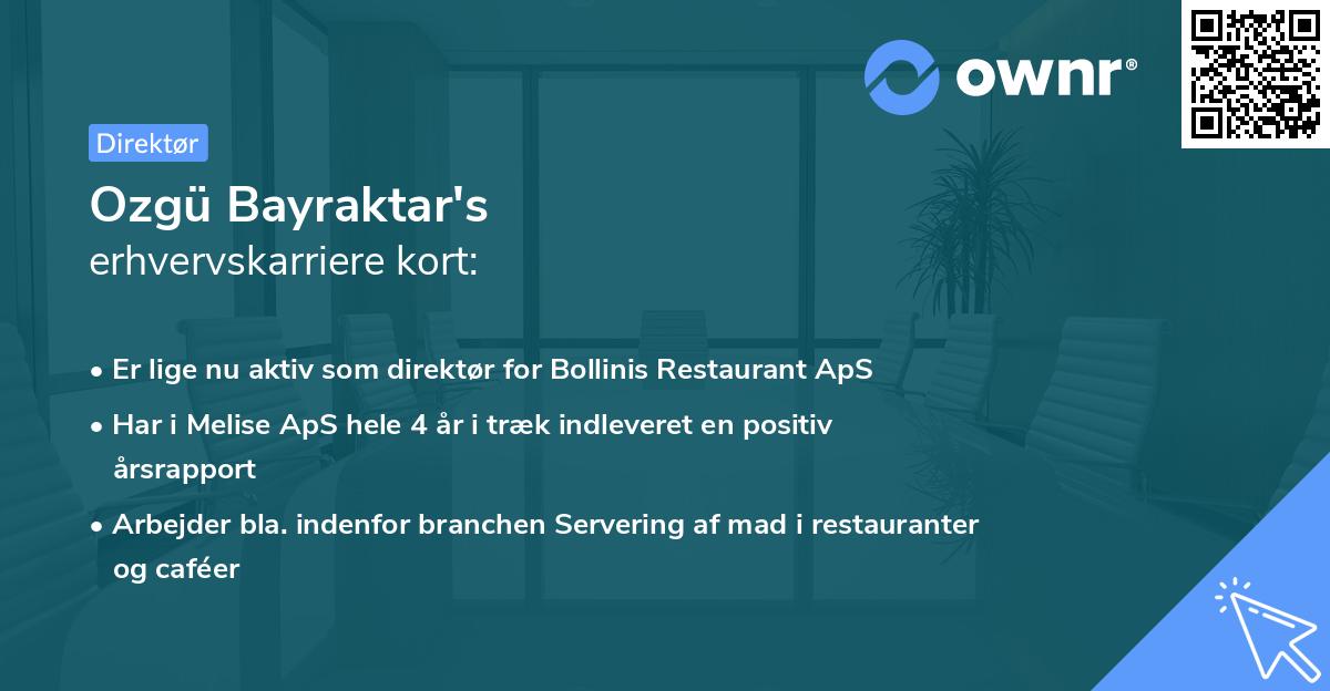 Ozgü Bayraktar's erhvervskarriere kort