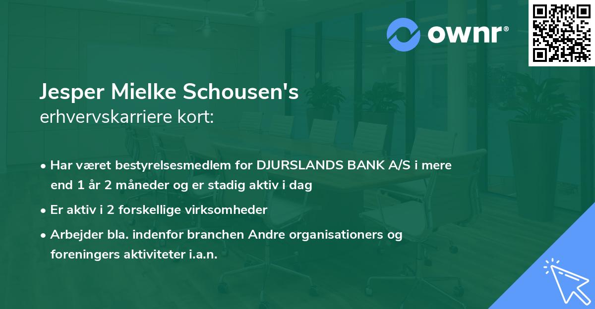 Jesper Mielke Schousen's erhvervskarriere kort