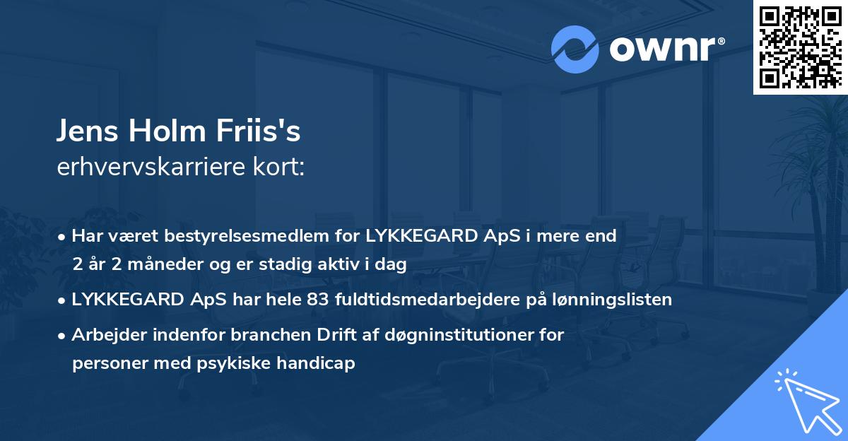 Jens Holm Friis's erhvervskarriere kort