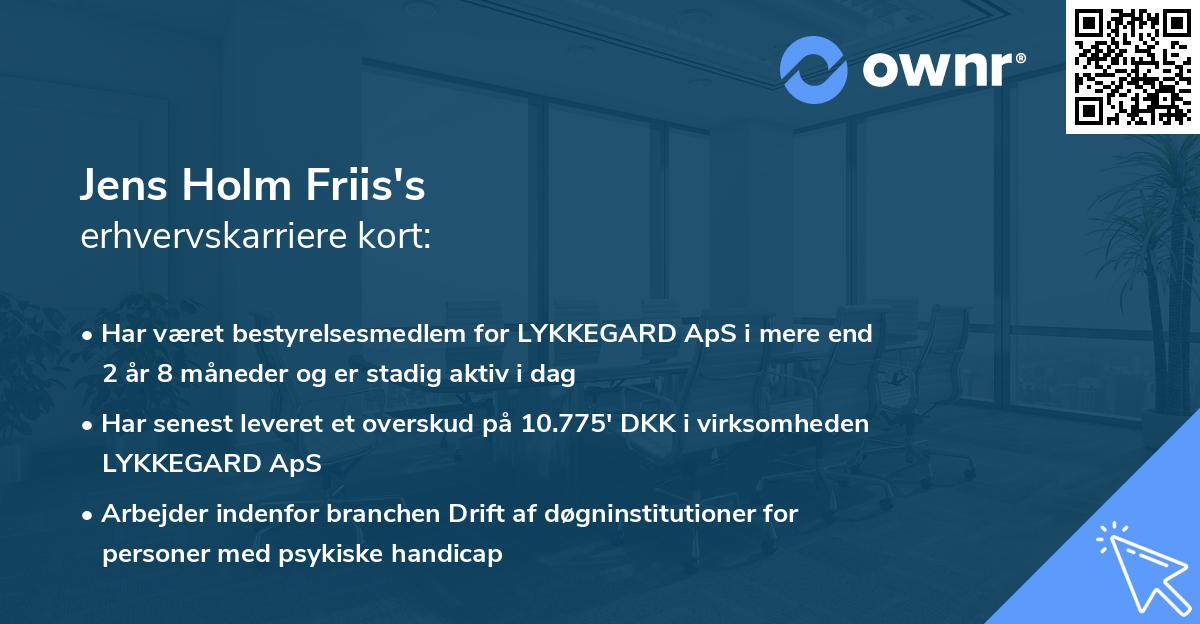 Jens Holm Friis's erhvervskarriere kort