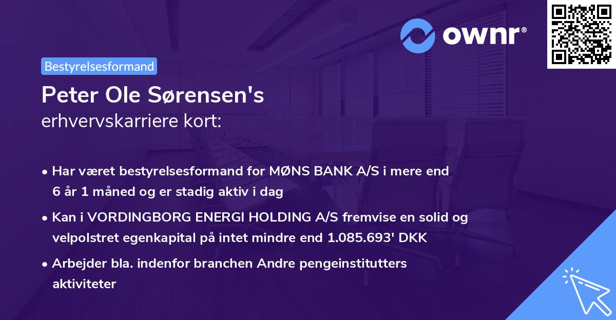 Peter Ole Sørensen's erhvervskarriere kort