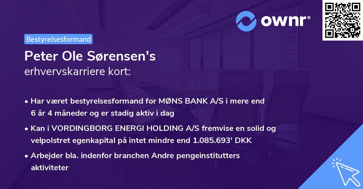 Peter Ole Sørensen's erhvervskarriere kort