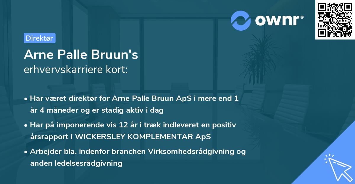 Arne Palle Bruun's erhvervskarriere kort